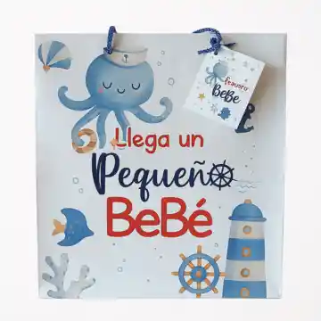 Bolsa De Regalo Baby Shower Niño