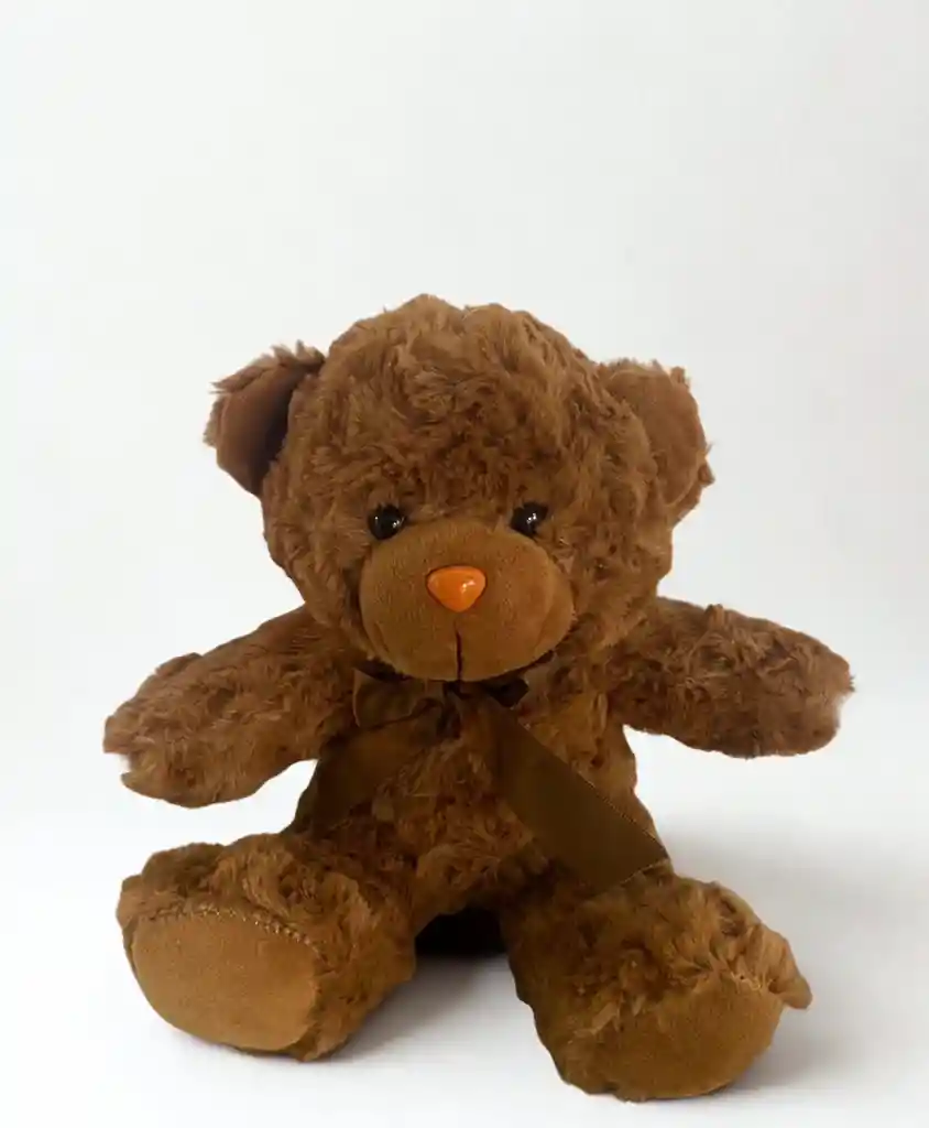 Peluche De Oso Clasico