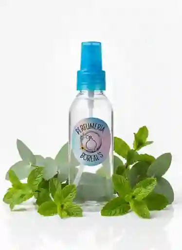 Aromatizante En Spray De Menta Eucalipto