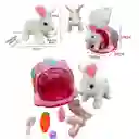 Peluche Mascota Conejo Que Camina Jaula Y Accesorios