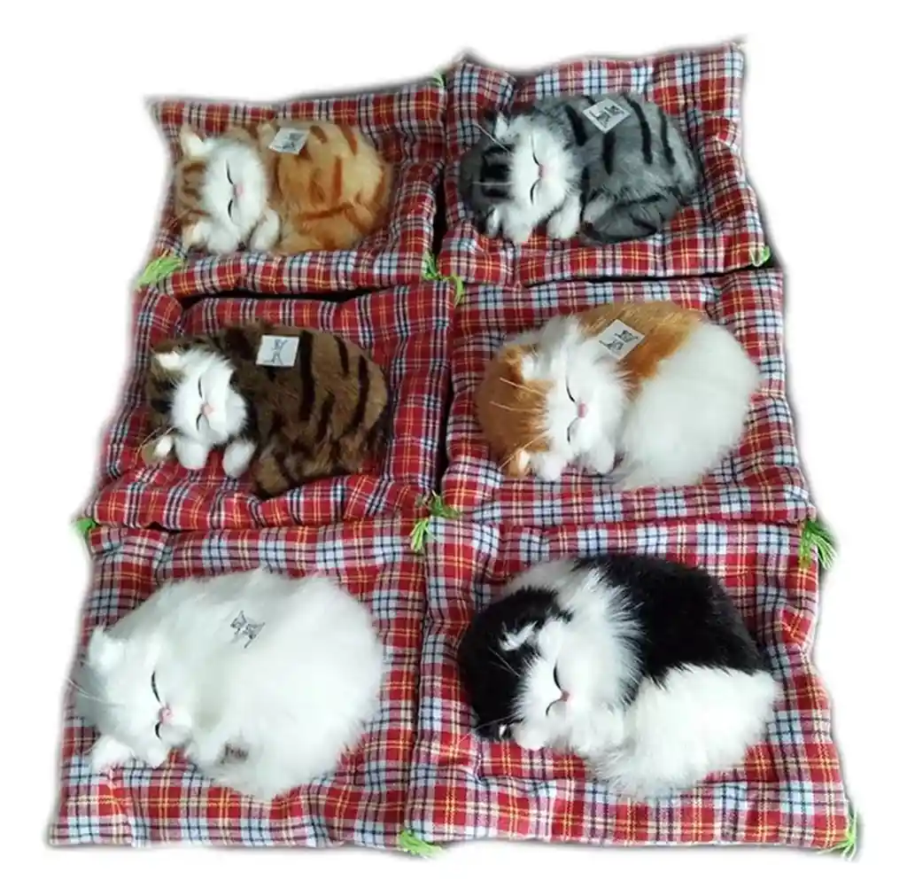 Peluche Gato Que Llora Peluche Para Niños