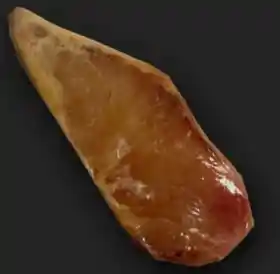 Filete De Bagre Amarillo