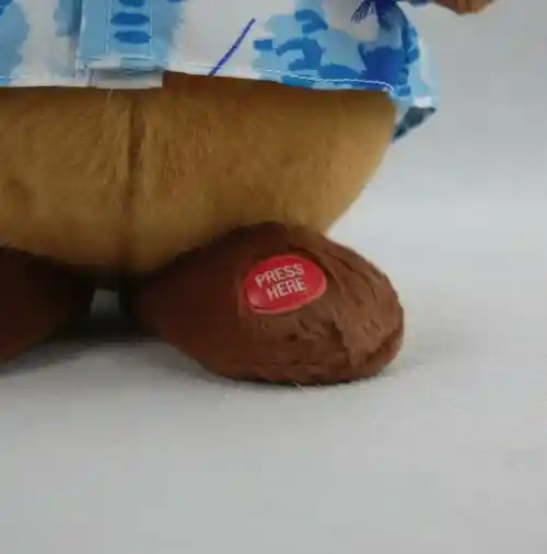 Capibara Que Camina Y Es Musical.