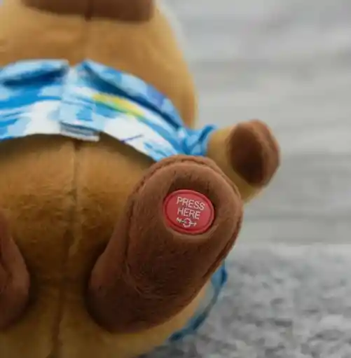 Capibara Que Camina Y Es Musical.