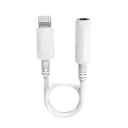 Adaptador Lightning A Plug Generico