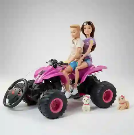 Cuatrimoto + Pareja Con Mascotas.