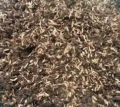 X3 Tierra Abonada Seleccionada 100% Organica Plantas Todo Tipo Cultivos Crecimiento 4kg