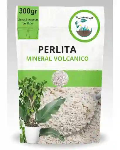 Perlita Aligerar Sustrato Componente Acompañante Planta Hogar Materas Porosa