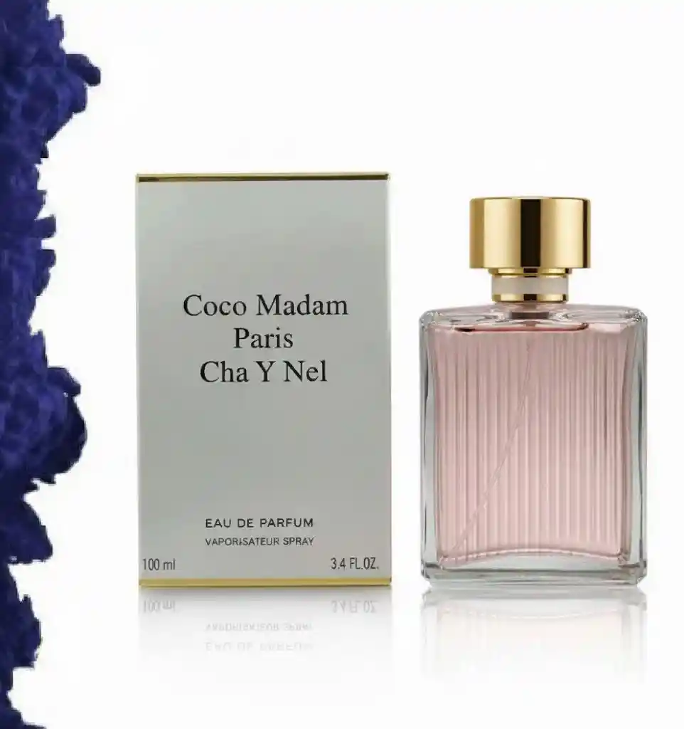 Perfume Fragancia Mujer Coco Madam Paris Cha Y Nel