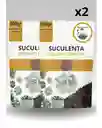 X2 Sustrato Suculenta Planta Ornamental Crecimiento Turba