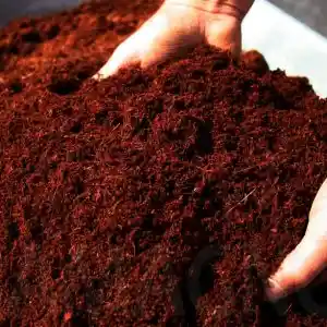 Turba Coco Sustrato Planta Aireación