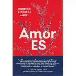 Amor Es