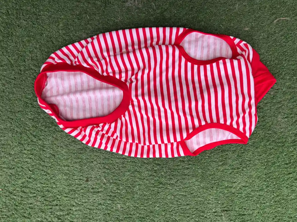 Esqueleto Con Capucha Para Perro