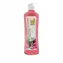 Shampoo De Cebolla, Romero Y Biotina X500 Ml Natural