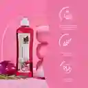 Shampoo De Cebolla, Romero Y Biotina X500 Ml Natural