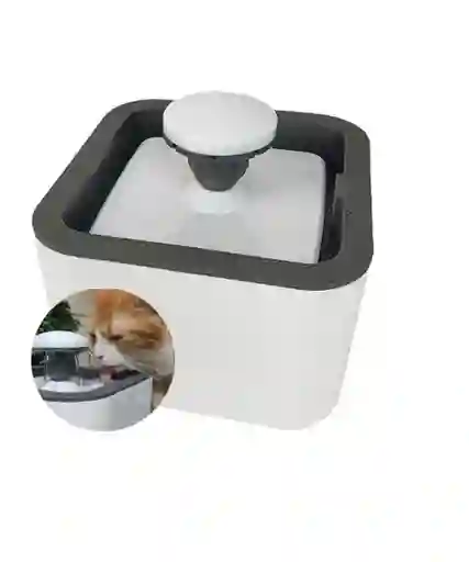 Bebedero Para Mascotas