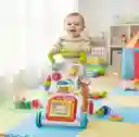 Andadera / Caminador & Gimnasio Para Bebés Unisex