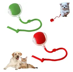 Pelota Interactiva Juguetes Eléctrica Para Perro Gato 360°