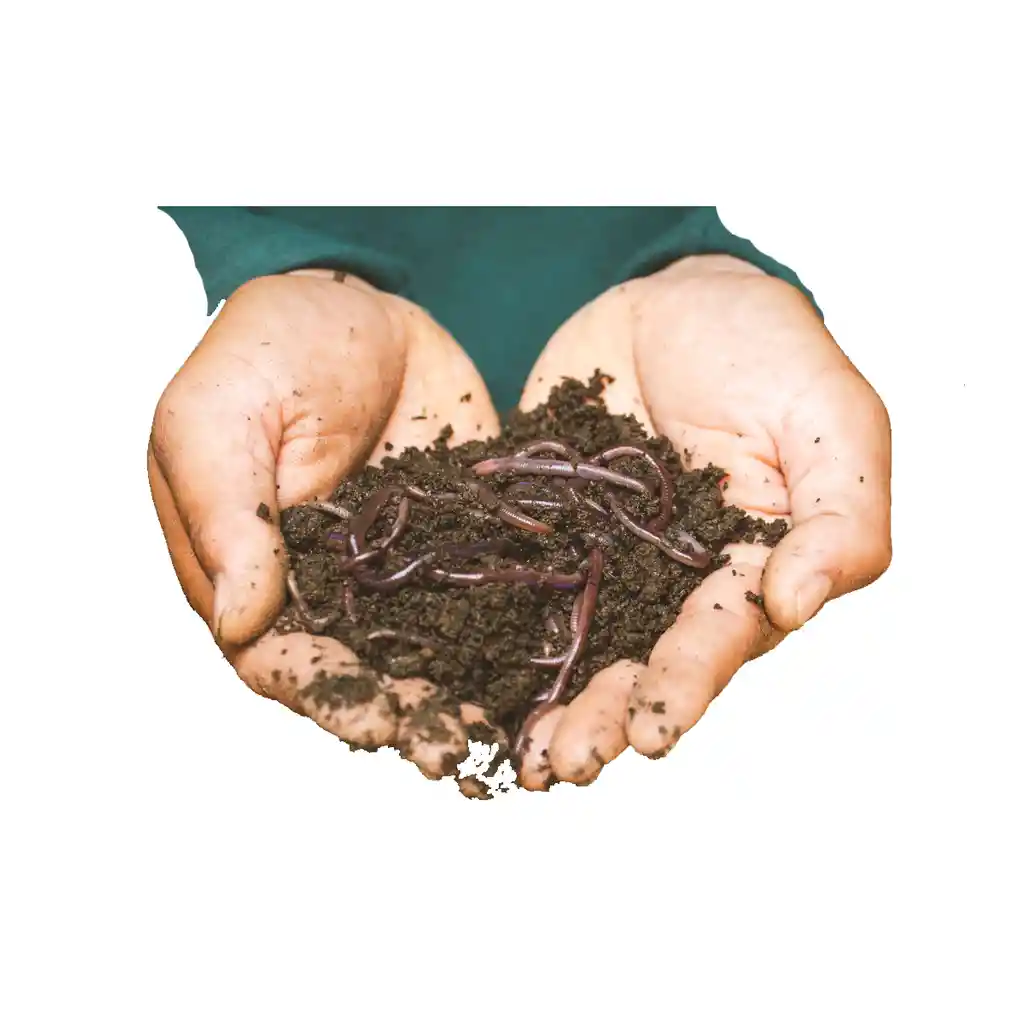 X2 Humus Lombricompuesto Suelo Compost Lombriz 100% Organico