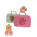 Set De Belleza Maquillaje Capibara