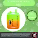 Vape 15.000 Puffs Strawberry Peach Mint