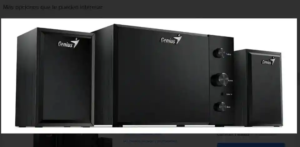 Parlantes Genius 2.1 300x Negros Con Subwoofer Y Sonido Potente Para Pc Y Laptop