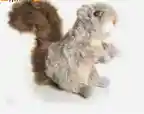 Peluche Ardilla