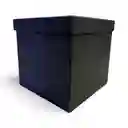 Cajas Cuadradas 21x21 Carton Piedra Tapa Separada