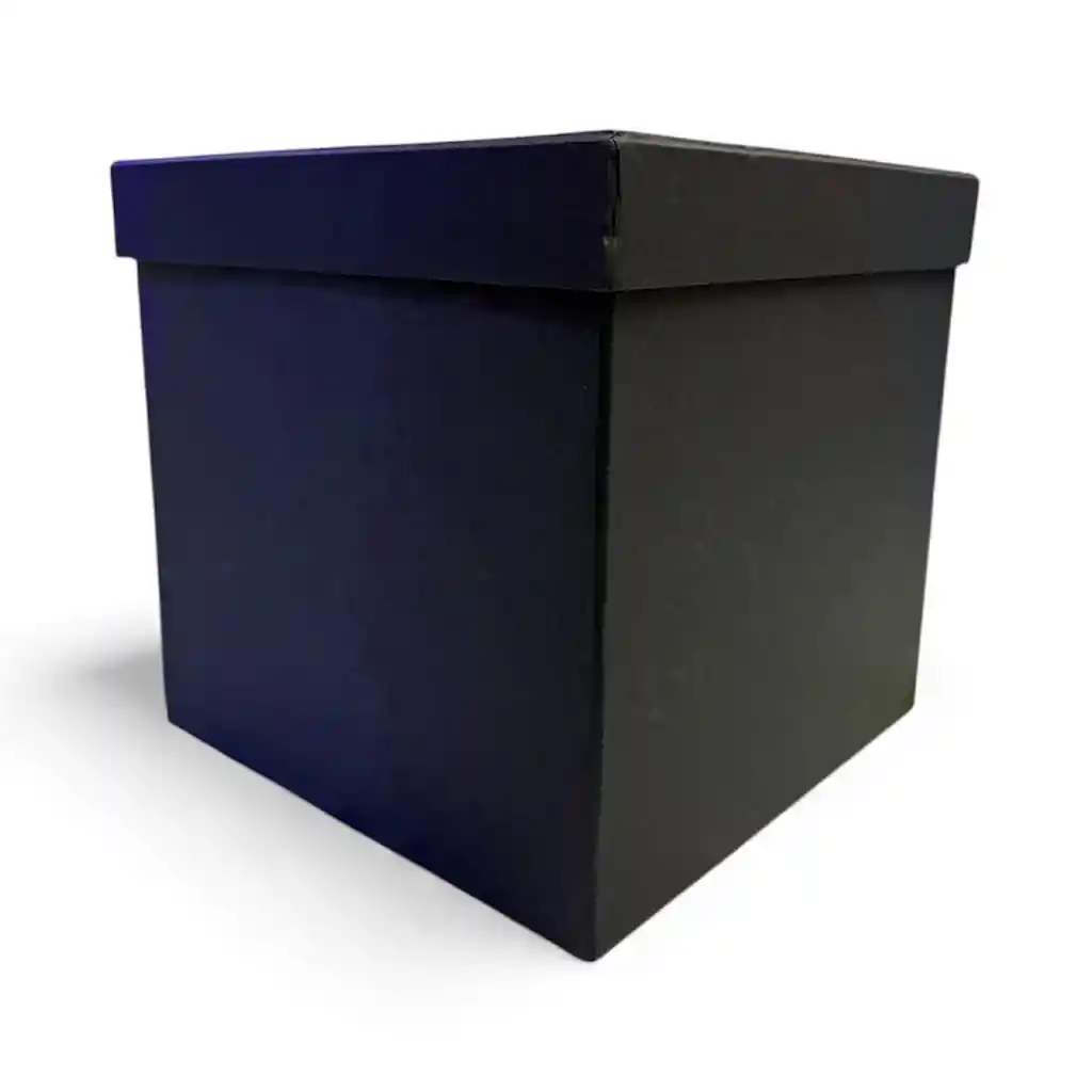 Cajas Cuadradas 21x21 Carton Piedra Tapa Separada