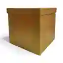 Cajas Cuadradas 21x21 Carton Piedra Tapa Separada