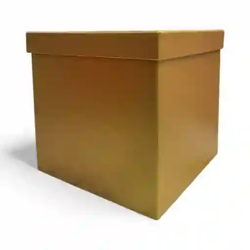 Cajas Cuadradas 21x21 Carton Piedra Tapa Separada