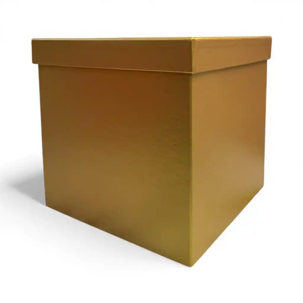 Cajas Cuadradas 21x21 Carton Piedra Tapa Separada