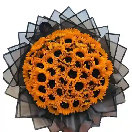 Buchon Estallido De Felicidad