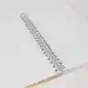 Cuaderno 1 Materia Argollado