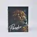 Cuaderno 1 Materia Argollado