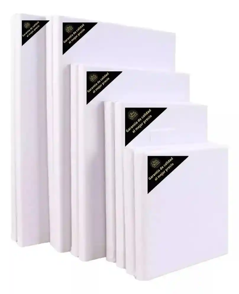 Lienzo Bastidor Profesional Para Pintar 20x20 3cm