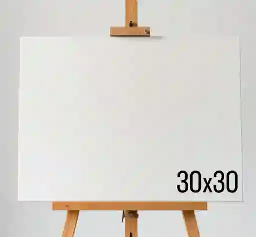 Lienzo Bastidor Profesional Para Pintar 30 X 30 3cm