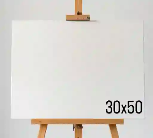 Lienzo Bastidor Profesional Para Pintar 30 X 50 3cm