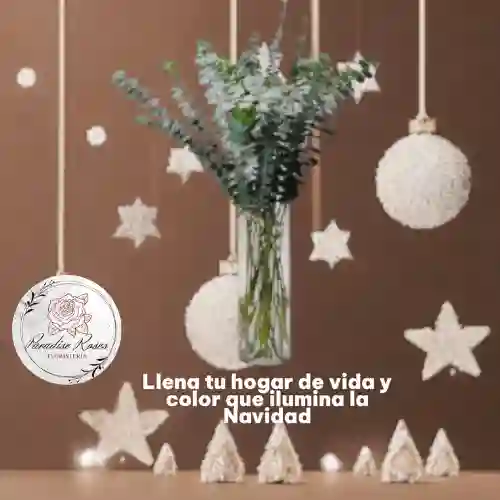 Arreglo De Eucalipto Fresco En Florero