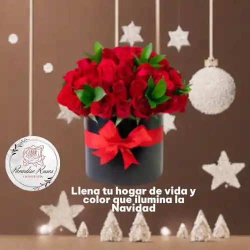 Rosas Rojas Pasión ❤️