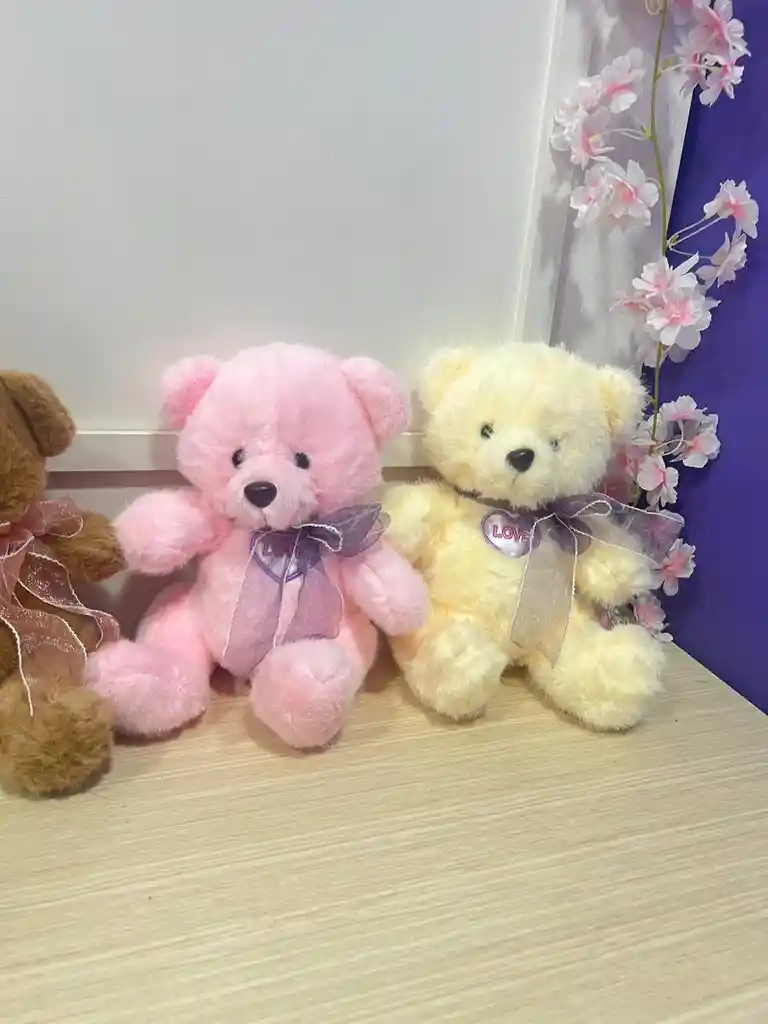Oso Love Con Lazo 26 Cm