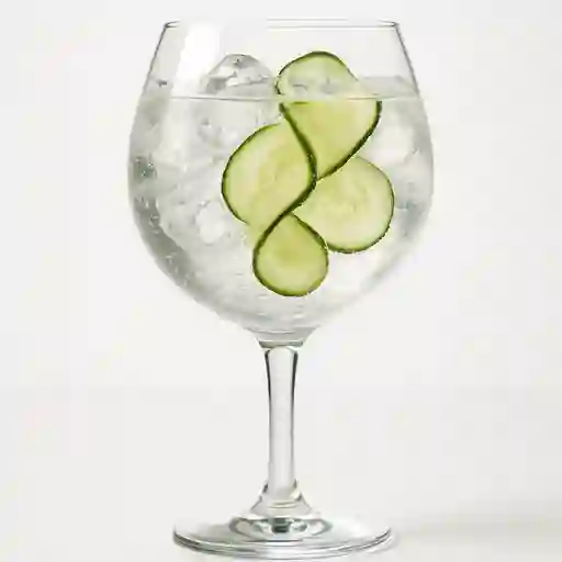 Gin Tonic Premiun