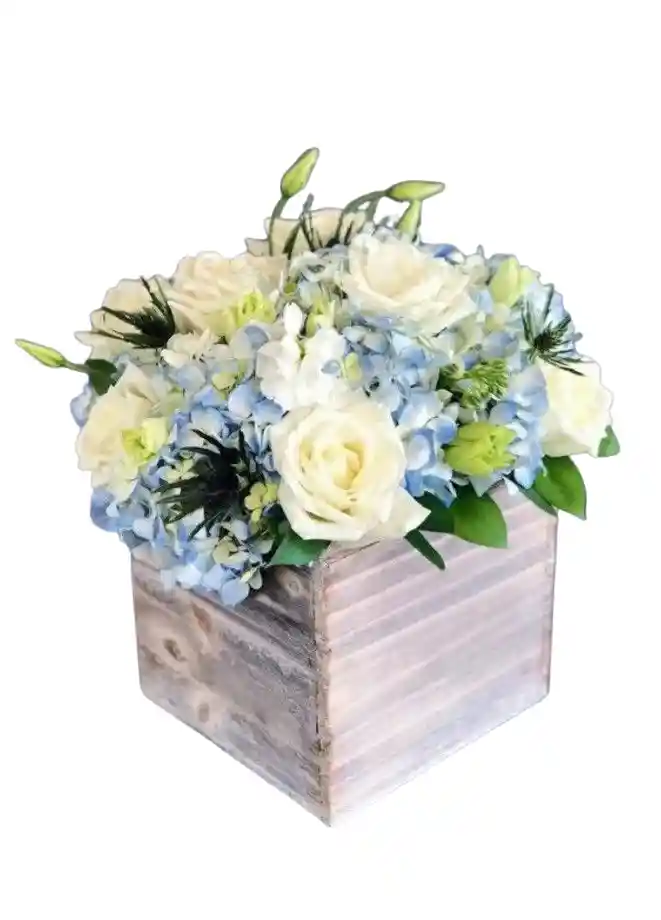 Caja Olas Del Corazón