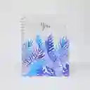 Cuaderno 1 Materia Argollado