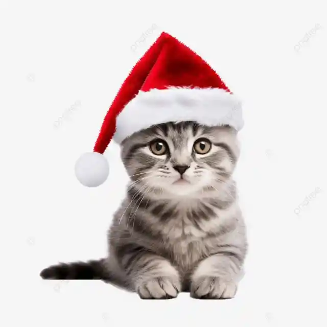 Gato Gorro Navideño Talla Xs Color Rojo