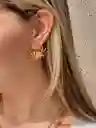 Aretes Cangrejo Dorados