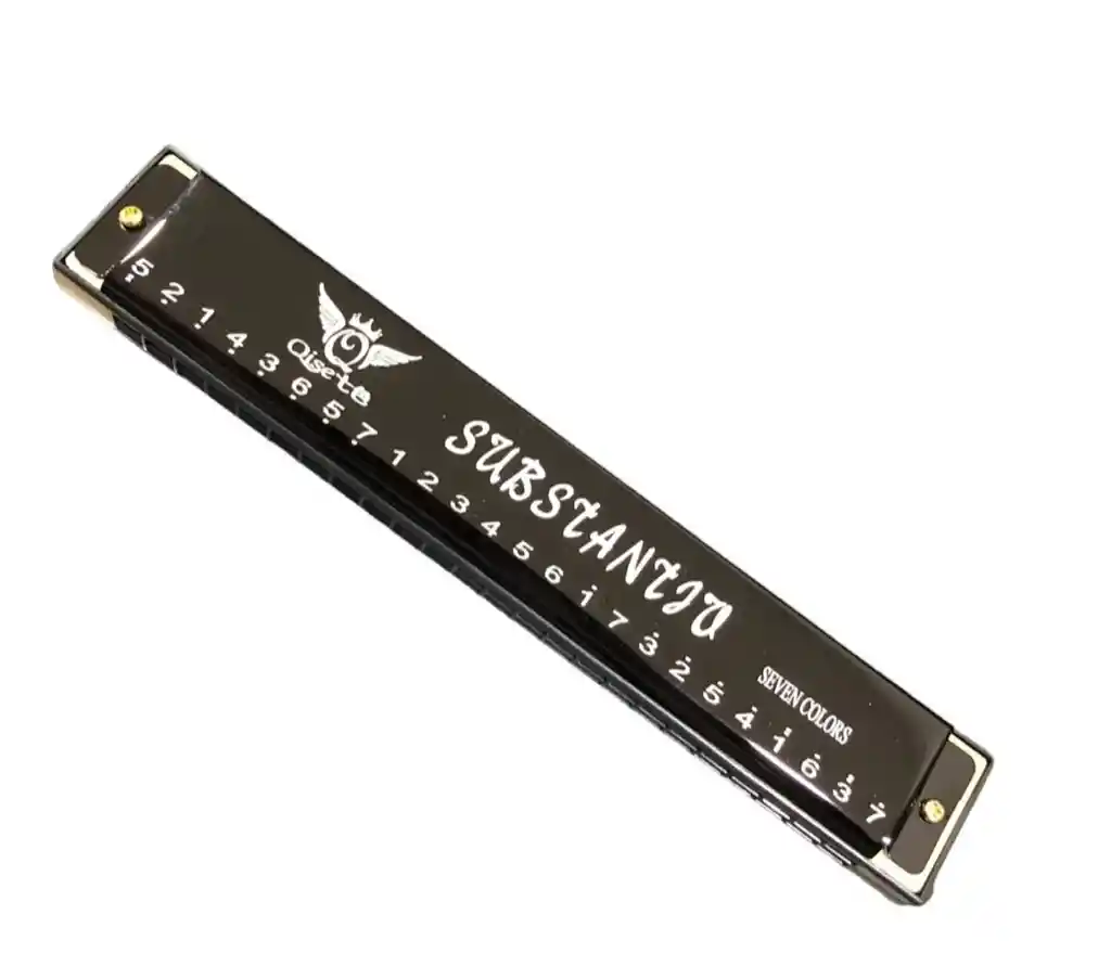 Armónica Metal Color Negro 24 Celdas Estuche - Paño
