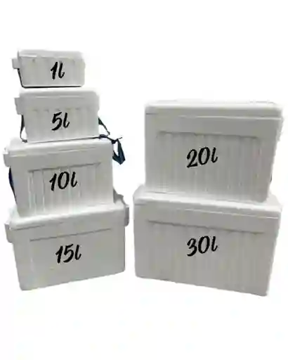 Nevera De Icopor De Vacuna 1 Litro Pqñ 21cmx10cmx11cm