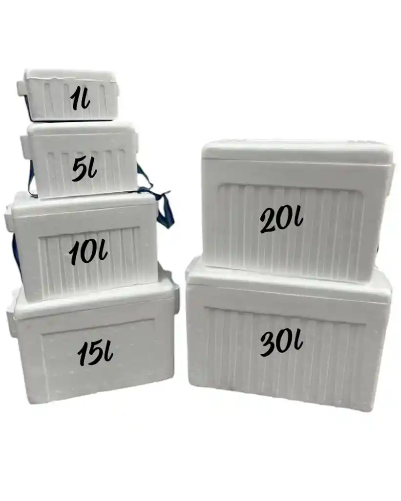 Nevera De Icopor 10 Litros Medidas 23cmx32cmx21cm