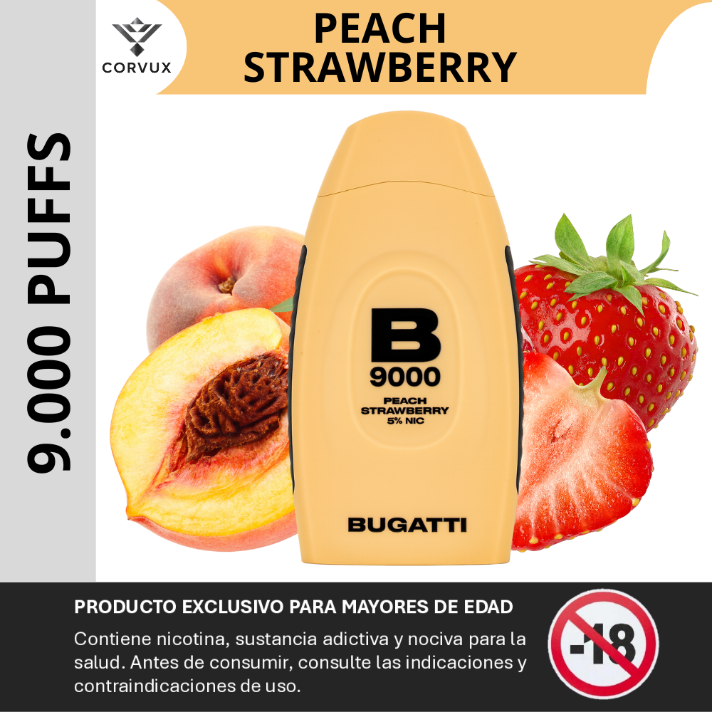 haftbefehl hhc vape anleitung Einweg / E Shisha - Vape HHC 95 % Haftbefehl 300 / Hashtag24 in Stade